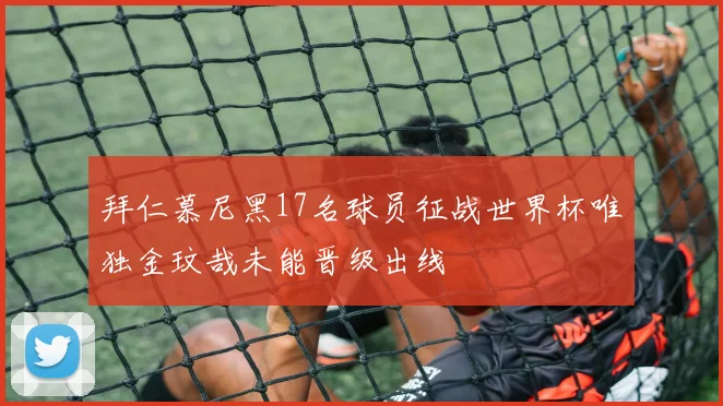 拜仁慕尼黑17名球员征战世界杯唯独金玟哉未能晋级出线