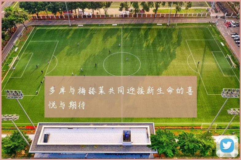 多库与梅赫莱共同迎接新生命的喜悦与期待