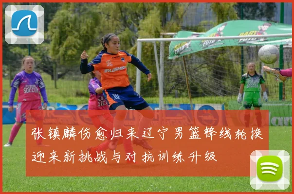 张镇麟伤愈归来辽宁男篮锋线轮换迎来新挑战与对抗训练升级